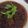 Rully Oktario's cooksnap of when they made Beef Rendang/Rendang Daging ala Perantauan 😉😜.