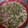 El cooksnap de Pepe cruz quintanilla cuando hizo Judías verdes a la carbonara con Thermomix tm6.