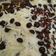 Cooksnap dari Dapur Cheria untuk resep Brownies kukus syantikk ala DBD CAKE