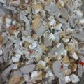 Cooksnap dari Dyah Isnaini Puspitasari untuk resep Tumis tahu jamur tiram 🍄