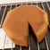 papa Chang 的 海綿蛋糕 Sponge cake cooksnap