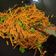 Cooksnap dari Ella Berti Rahmayuni untuk resep Mie Lidi Goreng Bakso