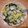 Shiau Wei 的 蒜香白酒蛤蜊義大利麵 cooksnap