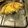 El cooksnap de Juancho cuando hizo Tarta de cebolla, puerros y panceta.
