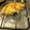 El cooksnap de Juancho cuando hizo Tarta de cebolla, puerros y panceta.