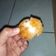 Cooksnap dari Yunita untuk resep Nugget Ayam isi Keju Leleh
