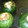 El cooksnap de Lila Pappalardo cuando hizo Zapallitos rellenos light.