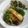 meggs.anderson's cooksnap of when they made Lemon pepper tilapia.
