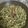 El cooksnap de Blanca Ramírez cuando hizo Calabacitas a la mexicana.
