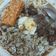 Cooksnap dari alif untuk resep RESEP RAWON JAWA TIMUR, 1 KG DAGING
