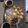 Shreya Desai's cooksnap of when they made પાણીપુરી.