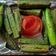 Hema ahara का कुकस्नैप जब उन्होंने मसाला भिंडी फ्राई (masala bhindi fry recipe in Hindi) बनाया था।