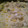 El cooksnap de Martha Favela cuando hizo Pollo en crema de champiñones.