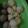 Cooksnap dari Ocynaa untuk resep Tahu bulat kopong