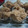 Cooksnap dari Oki purwanti untuk resep Bolu kukus gula merah mekar merekah 100% anti gagal