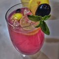 Priya Mulchandani का कुकस्नैप जब उन्होंने जामुन मोजितो (Jamun mojito recipe in Hindi) बनाया था।