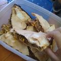 El cooksnap de barbarita3236 cuando hizo Tarta de atún.