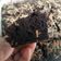 Cooksnap dari Ariesta Widaningrum untuk resep Broken PangCho (Brownies Kentang Panggang Chocochips)