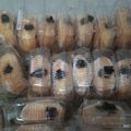 Cooksnap dari Lilis Rabiatul Hamsiah untuk resep Donat bomboloni empuk lembut