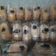 Cooksnap dari Lilis Rabiatul Hamsiah untuk resep Donat bomboloni empuk lembut