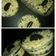 Cooksnap dari vii untuk resep Cheese Cake Lumer Oreo