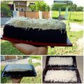 Cooksnap dari mbok Tun untuk resep Brownies kukus ny.liem / base cake kue ulta tema free fire