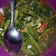 Cooksnap dari Afrida Nur Fauzy untuk resep Cah Kangkung Pedas