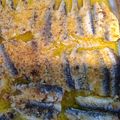 Cooksnap από AriA στη συνταγή Γαύρος στο φούρνο λαδορίγανη