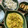 El cooksnap de Godot cuando hizo Camarones al curry con crema de coco.