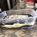 Cooksnap dari dhea untuk resep Brownies alpukat😍