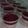 Cooksnap dari Afifa Fitia untuk resep Pudding Santan Buah Naga