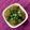Shweta Shah's cooksnap of when they made ઊંધિયું (Undhiyu Recipe In Gujarati).