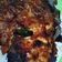 Cooksnap dari Luluk Naura Fatin untuk resep Gurami Bakar Pedas Manis