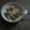 El cooksnap de Maribel Rangel cuando hizo Pasta con salsa blanca de atún y espinacas.