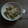 El cooksnap de Maribel Rangel cuando hizo Pasta con salsa blanca de atún y espinacas.