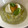 El cooksnap de Maria Sacristan cuando hizo Crema de calabacín y aguacate en mambo.