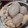 Cooksnap dari Desy Lin untuk resep Bakso Sapi Kenyal