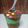 Cooksnap dari Dwi Alif Budi untuk resep Ice Cream Murah Meriah