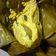 Cooksnap dari Gimbull untuk resep Pepes Ikan Tongkol