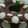 Cooksnap dari Nell'z Kitchen untuk resep Puding Polkadot