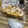 El cooksnap de sandra.huelmo@yahoo.com cuando hizo Pasta frola de dulce de leche .