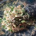 Cooksnap dari _Mila's Kitchen_ untuk resep Karedok Khas Sunda