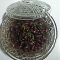 @Tehmina_Ameen's cooksnap of when they made Rajma Lobia ka Salan Kidney Bean Curry.