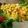 Tom Cook's cooksnap of when they made Lachs-Filets gegrillt mit Mango-Minze-Salsa.