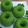 Cooksnap dari Citra Amalia untuk resep Puding lumut Daun Kelor