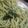 El cooksnap de Endy Lestrange cuando hizo Espagueti verde.