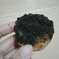 Cooksnap dari icak_khoyrun untuk resep Donat lembut menul" tanpa kentang...
