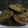 Cooksnap dari Angga Prastya untuk resep Terong Crispy