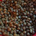 Abhilasha Singh का कुकस्नैप जब उन्होंने नवमी का भोग प्रसाद (navami ka bhog prasad recipe in Hindi) बनाया था।
