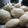 Vijeta Priyam's cooksnap of when they made Plain Idli.